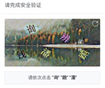 2315类型示例图片